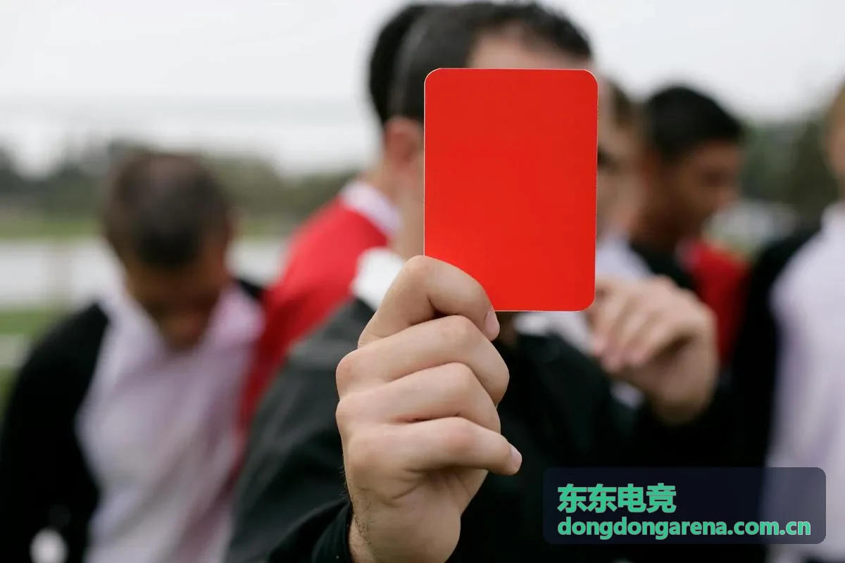 东东电竞新秀选手数据观察